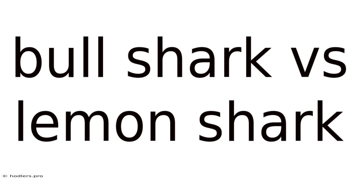 Bull Shark Vs Lemon Shark