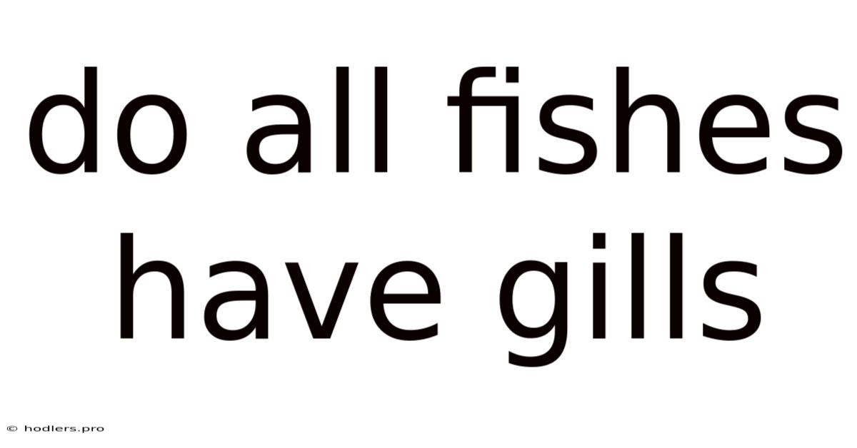 Do All Fishes Have Gills