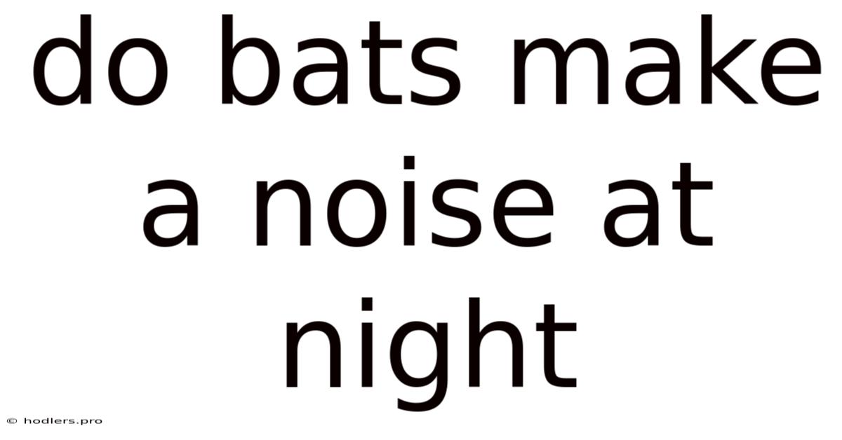 Do Bats Make A Noise At Night
