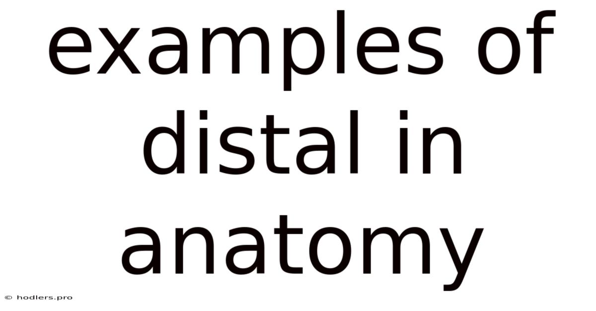 Examples Of Distal In Anatomy