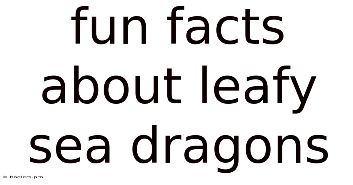 Fun Facts About Leafy Sea Dragons