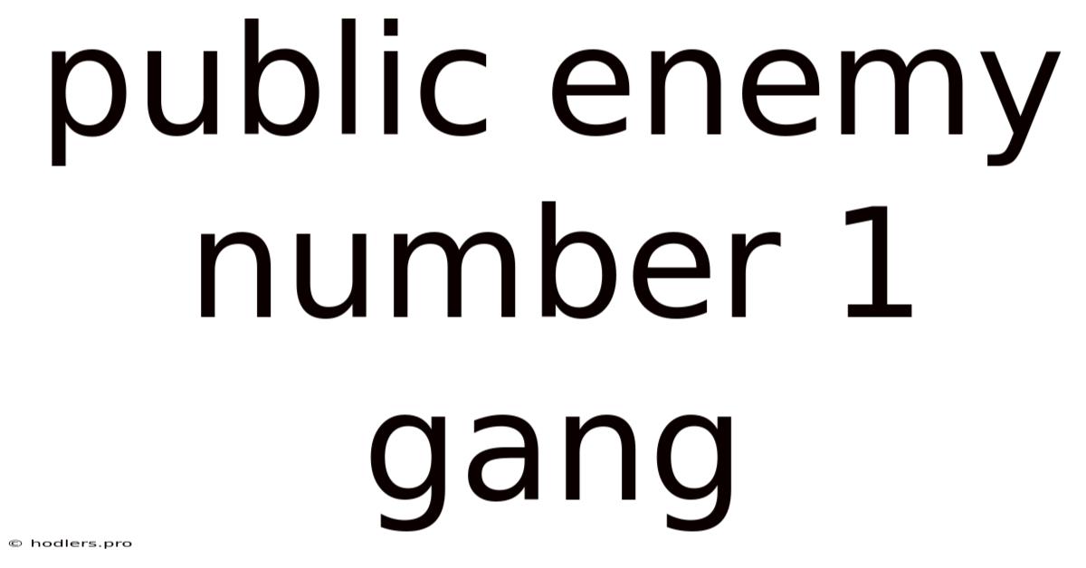 Public Enemy Number 1 Gang