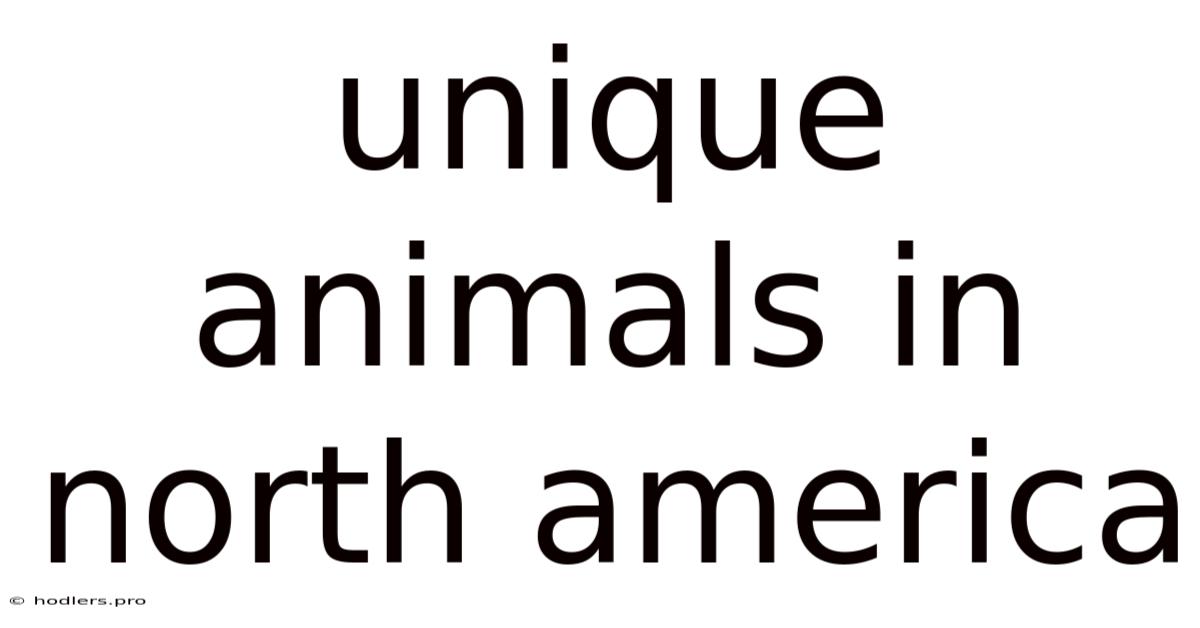 Unique Animals In North America