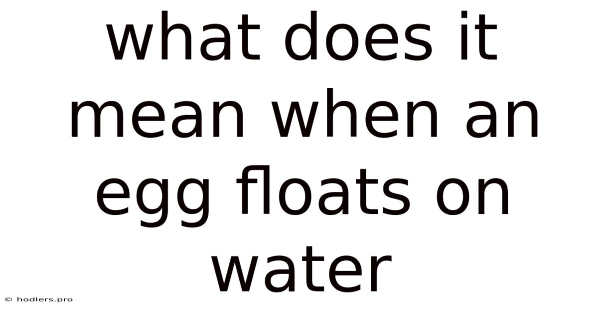 What Does It Mean When An Egg Floats On Water