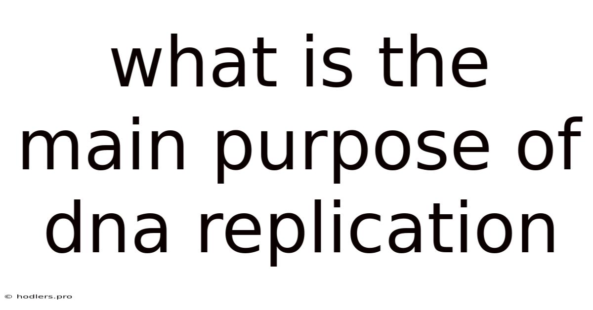 What Is The Main Purpose Of Dna Replication