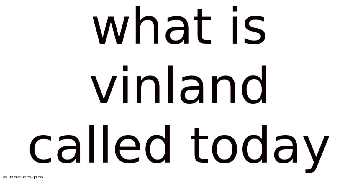 What Is Vinland Called Today