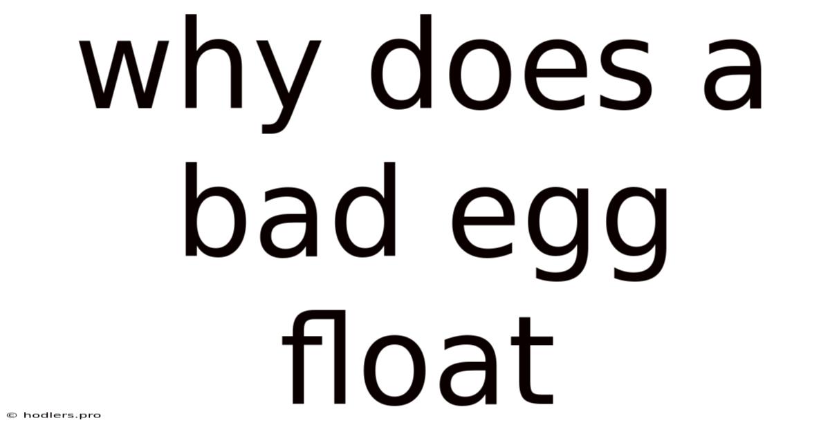 Why Does A Bad Egg Float