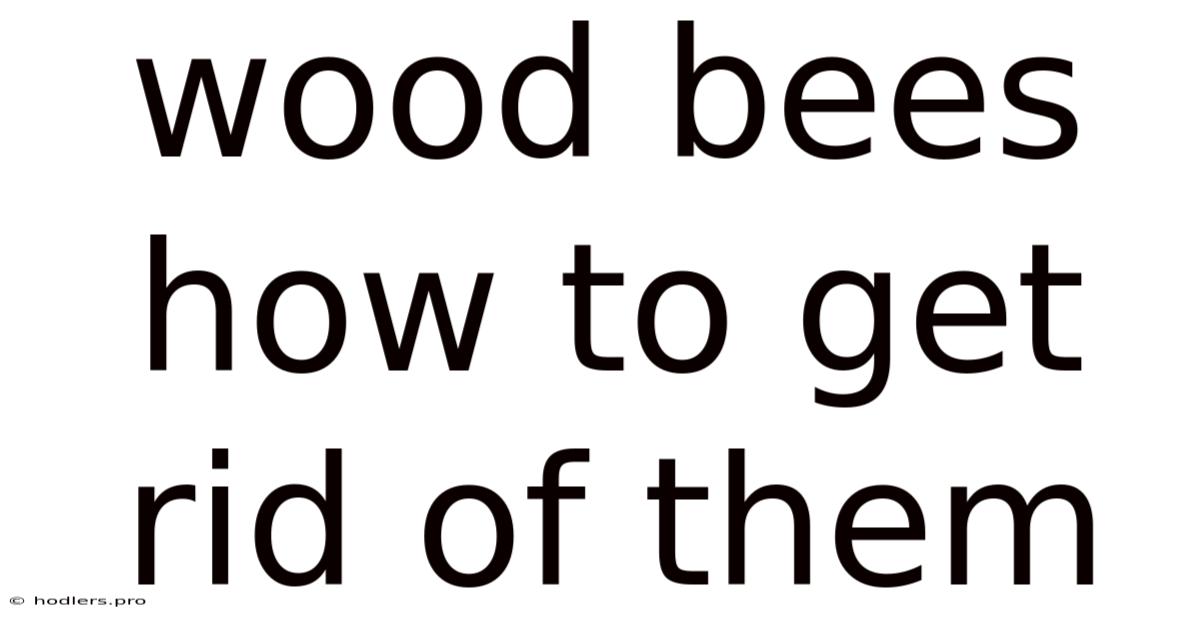 Wood Bees How To Get Rid Of Them